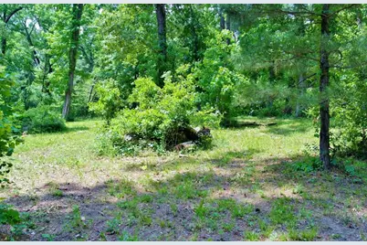 Lot 695 Lake Shore Drive, Coldspring, TX 77331 - Photo 15