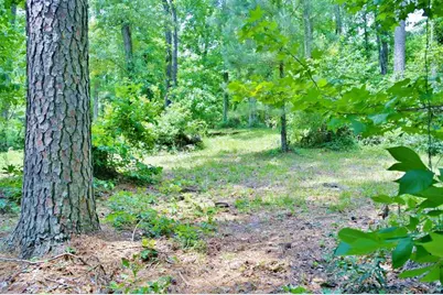 Lot 695 Lake Shore Drive, Coldspring, TX 77331 - Photo 1