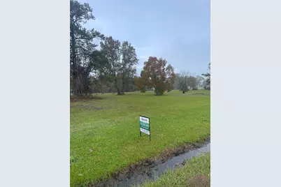 Tbd High Crest Drive, Point Blank, TX 77364 - Photo 5