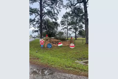 Tbd High Crest Drive, Point Blank, TX 77364 - Photo 9