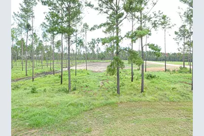 0010 Nelson Dr, Livingston, TX 77351 - Photo 7