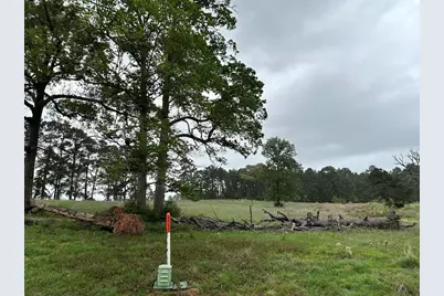 Lot 203 Overhill Court, Hillister, TX 77624 - Photo 9