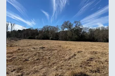 7365 Fm 2022 N, Grapeland, TX 75844 - Photo 13