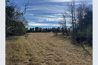 7365 Fm 2022 N, Grapeland, TX 75844 - Photo 17