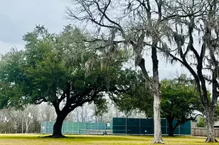 13170 Bunker Hill Dr, Willis, TX 77318 - Photo 21