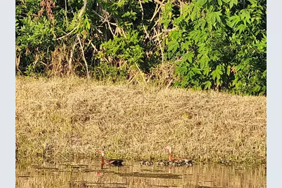 333 24th Street, San Leon, TX 77539 - Photo 23