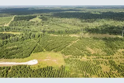 0 Caldwell, Lovelady, TX 75851 - Photo 3