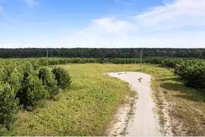 0 Caldwell, Lovelady, TX 75851 - Photo 11