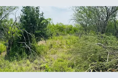 Tbd Lot 1 6.47 Ac Fm 888, Beeville, TX 78102 - Photo 9