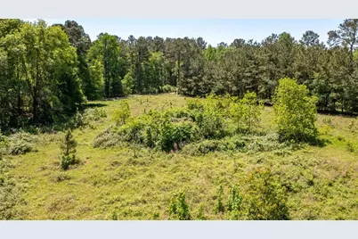 Tbd County Road 2318, Dayton, TX 77535 - Photo 13