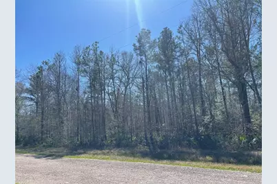 Tbd N Country Place Shepherd Lane, Shepherd, TX 77371 - Photo 5