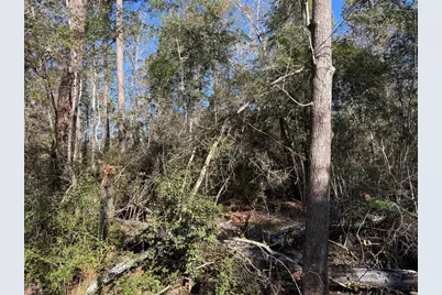 00 Shady Lane, Houston, TX 77336 - Photo 3