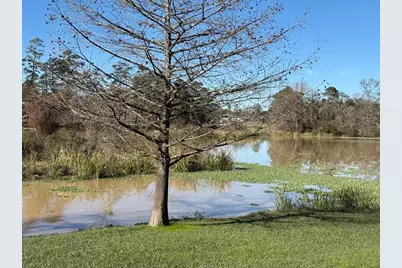 00 Shady Lane, Houston, TX 77336 - Photo 5