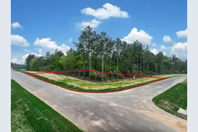 4848 Red Coyote Lane, Montgomery, TX 77316 - Photo 5