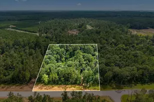 11546 Bramble Ct, Willis, TX 77378 - Photo 1