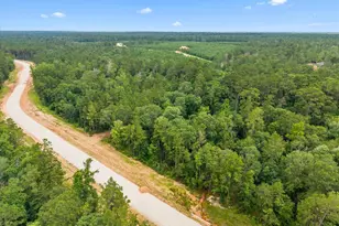 11546 Bramble Ct, Willis, TX 77378 - Photo 9