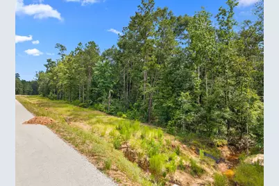 11546 Bramble Court, Willis, TX 77378 - Photo 3