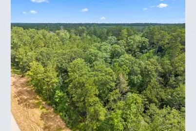 11546 Bramble Court, Willis, TX 77378 - Photo 7