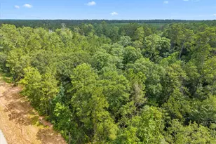 11546 Bramble Ct, Willis, TX 77378 - Photo 7