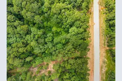 11546 Bramble Court, Willis, TX 77378 - Photo 13