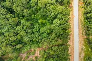 11546 Bramble Ct, Willis, TX 77378 - Photo 13