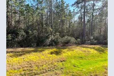 228 Exploration Road, Willis, TX 77378 - Photo 7