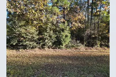 00 Meridian, Livingston, TX 77351 - Photo 5