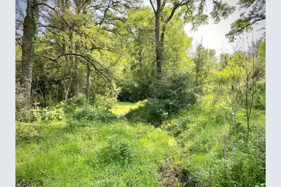 1985 County Road 309, Lexington, TX 78947 - Photo 7