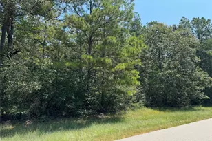 0 Roda Dr, Conroe, TX 77303 - Photo 9