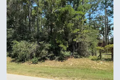 0 Roda, Conroe, TX 77303 - Photo 7