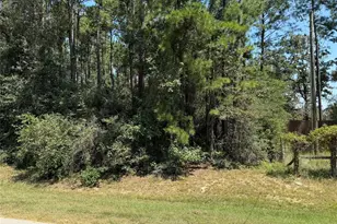 0 Roda Dr, Conroe, TX 77303 - Photo 7