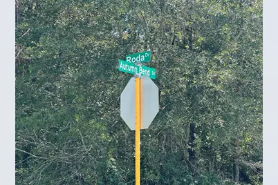 0 Roda, Conroe, TX 77303 - Photo 11