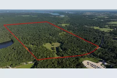 195 Ac Fm 149 Rd, Montgomery, TX 77356 - Photo 15