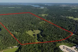 195 Ac Fm 149 Rd, Montgomery, TX 77356 - Photo 15