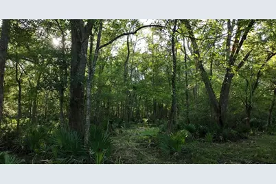 195 Ac Fm 149 Rd, Montgomery, TX 77356 - Photo 7