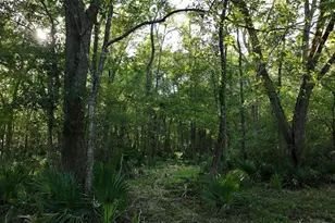 195 Ac Fm 149 Rd, Montgomery, TX 77356 - Photo 7