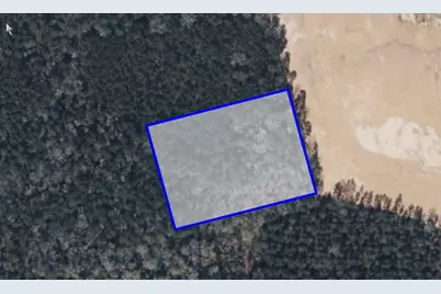 Tbd Tract 24B, 5Ac, Splendora, TX 77372 - Photo 5