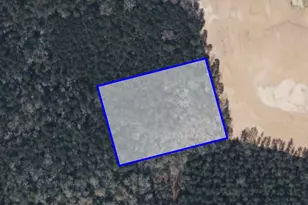 Tbd Tract 24B 5Ac, Splendora, TX 77372 - Photo 5