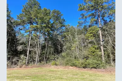 0000 Ivanhoe Drive, Woodville, TX 75979 - Photo 13