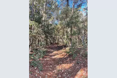 0000 Ivanhoe Drive, Woodville, TX 75979 - Photo 11