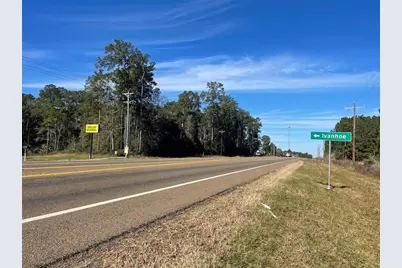 0000 Ivanhoe Drive, Woodville, TX 75979 - Photo 7