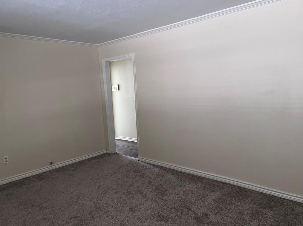 3718 Dreyfus, Houston TX  77021-5713 exterior