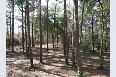 38185 Spur 149 Road, Magnolia, TX 77354 - Photo 7