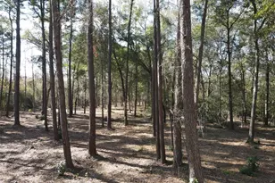 38185 Spur 149 Rd, Magnolia, TX 77354 - Photo 7