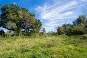 Tbd Hwy 36, Jones Creek, TX 77541 - Photo 1