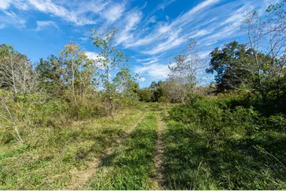 Tbd Hwy 36, Jones Creek, TX 77541 - Photo 3