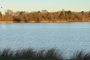 116 Grapeland Lake Rd, Grapeland, TX 75844 - Photo 17