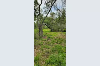 Tbd Specklebelly Lane Lot 252, Columbus, TX 78934 - Photo 21