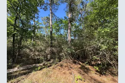 15 Wood Harbor, Trinity, TX 75862 - Photo 5