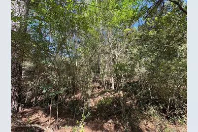 15 Wood Harbor, Trinity, TX 75862 - Photo 7